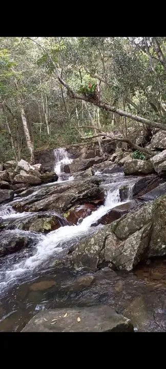 Lindo sítio ( 50m asfalto)com  cachoeiras em Vargem Grande  - Foto 4