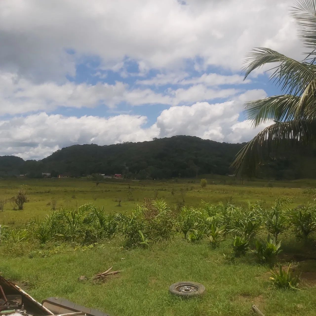 Foto - Iguape - 