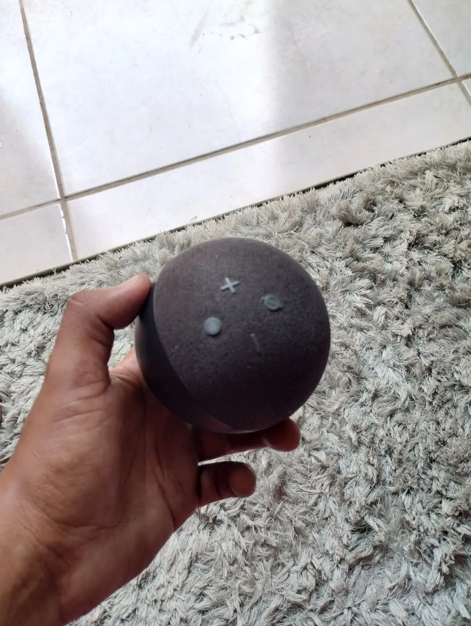 Vendo uma alexia