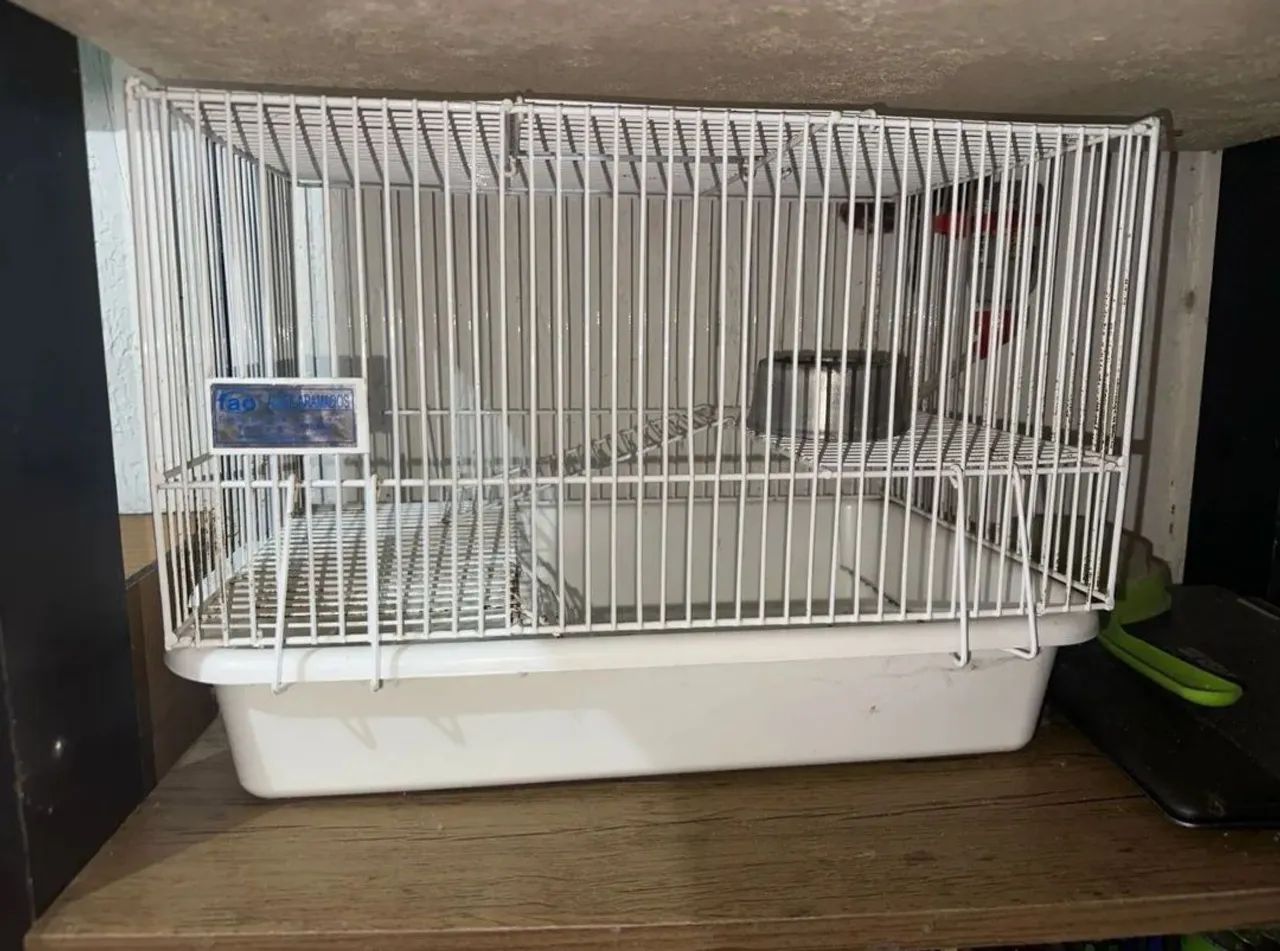 Terrario + gaiola transportadora para roedores - Foto 3