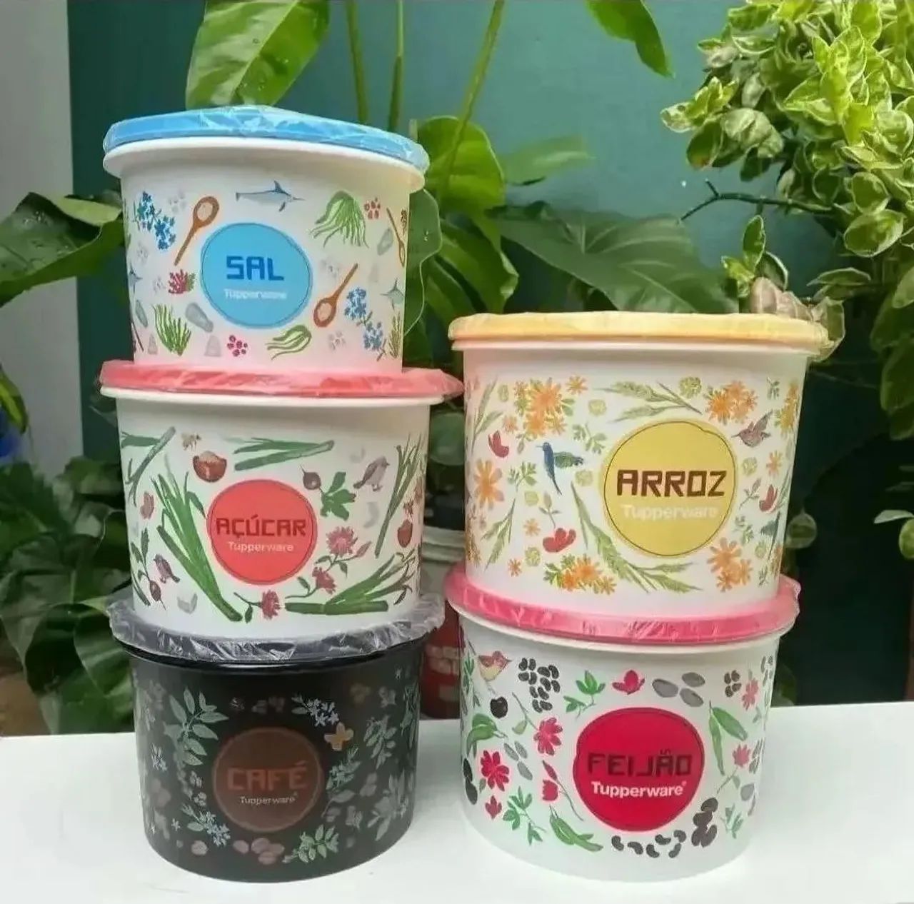 Conjunto Mantimentos 5 peças Tupperware 