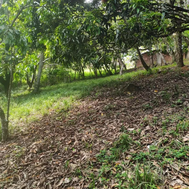 Vende-se sitio em São Lourenço da Mata-PE