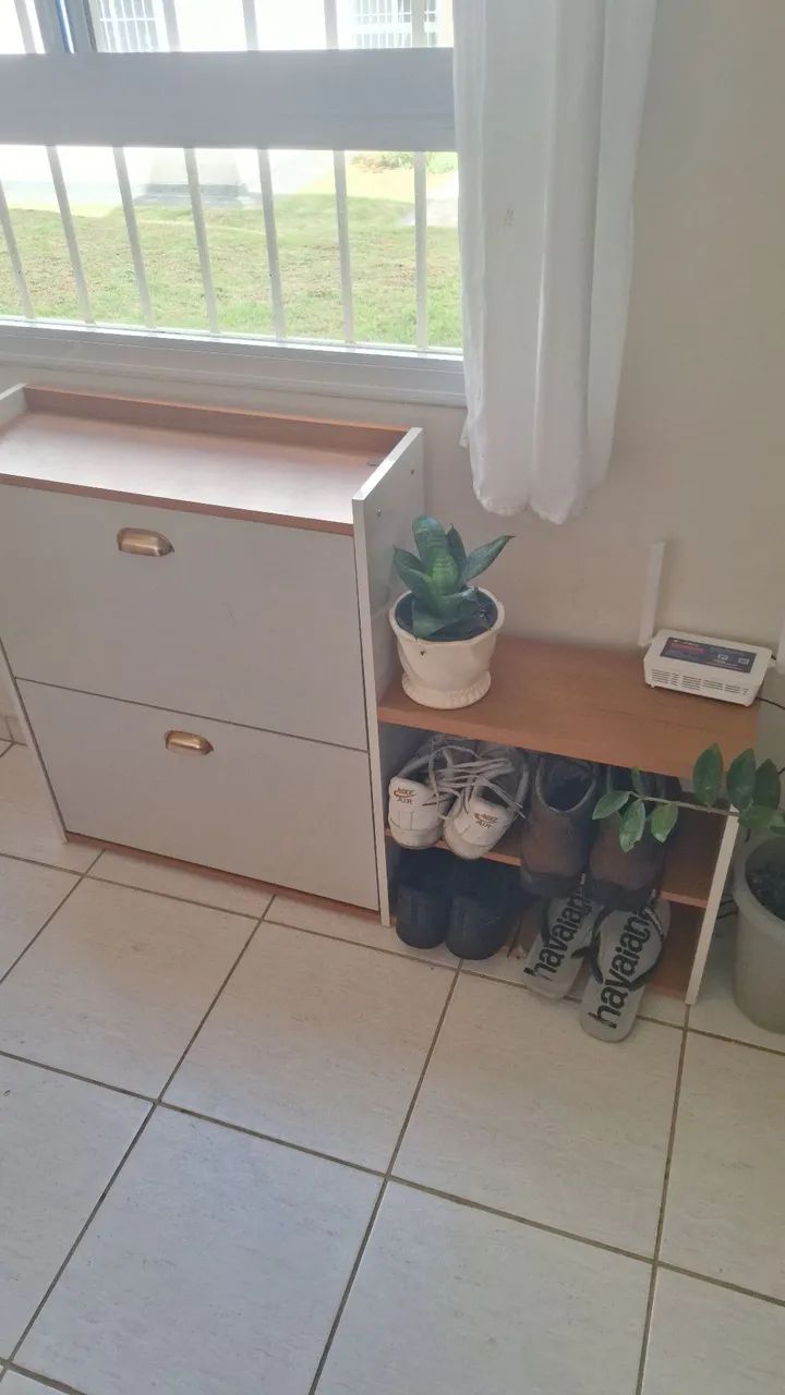 Sapateira  - Foto 3