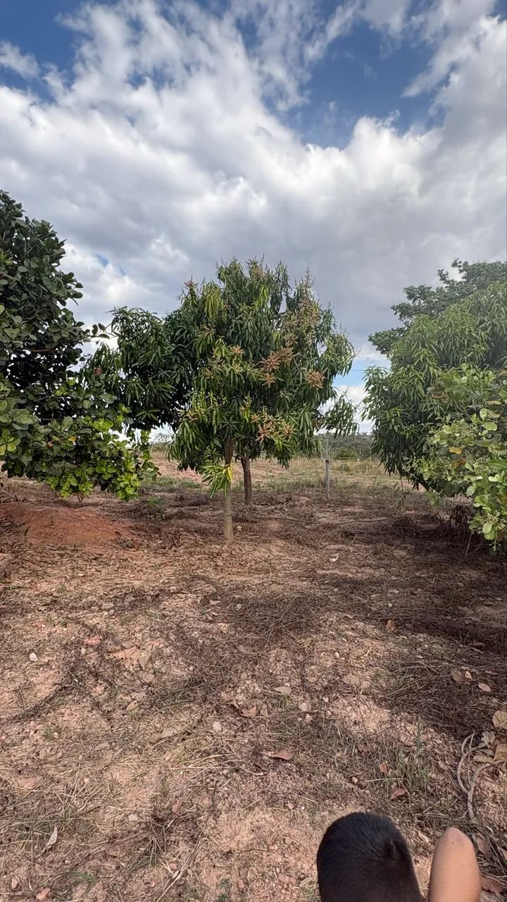 Vendo ou troco por casa - Foto 2