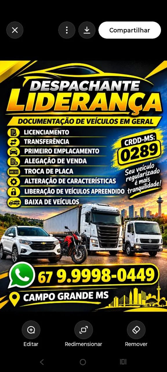 Despachante liderança 