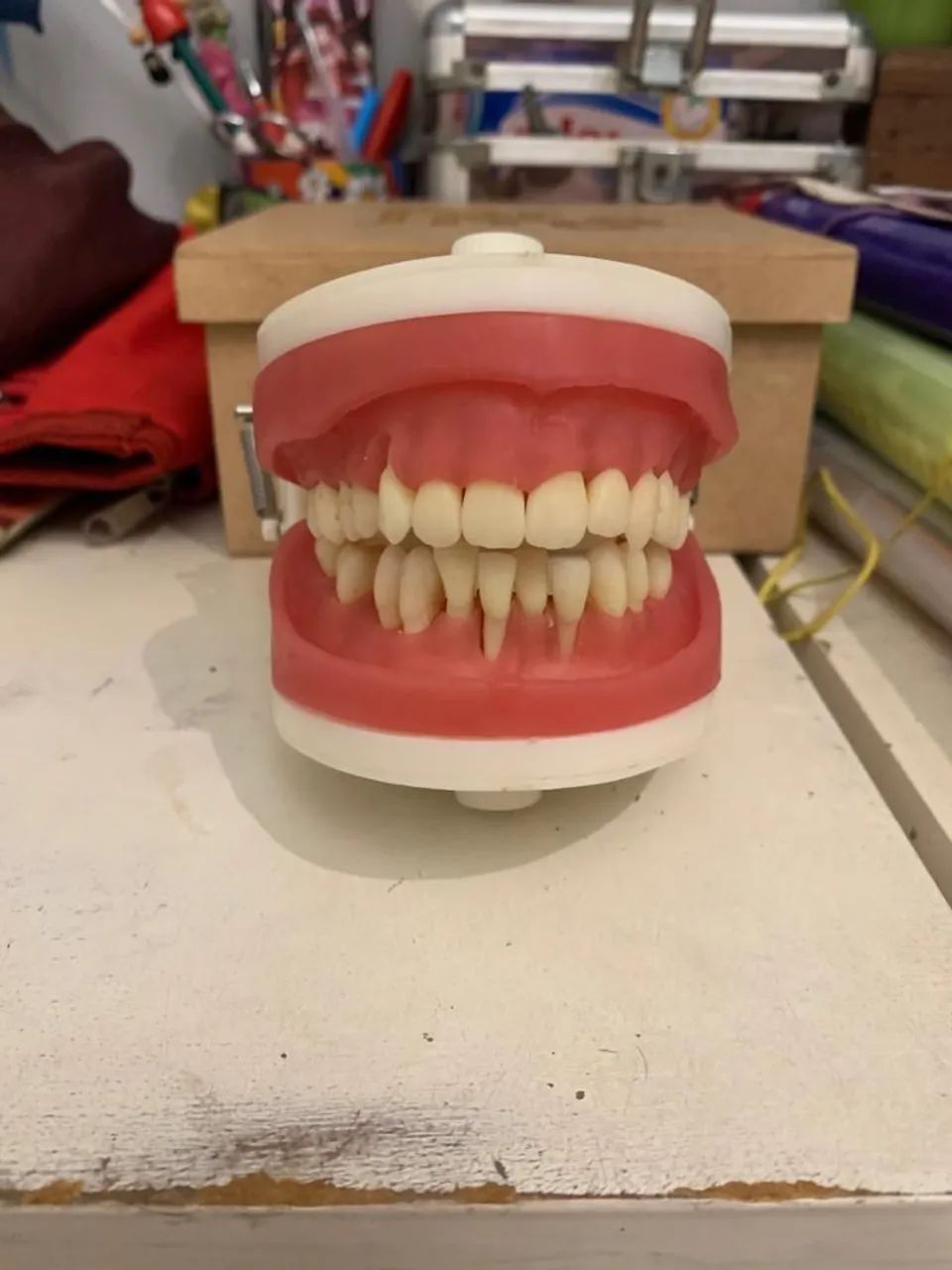 Manequim de periodontia  - Foto 3