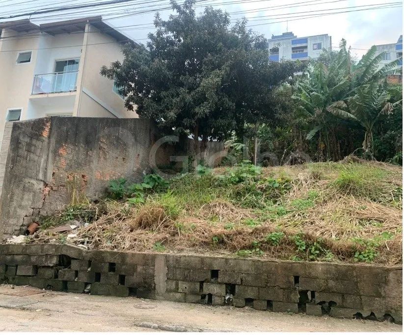 Terreno em aclive de 360m² na Carvoeira - Foto 2