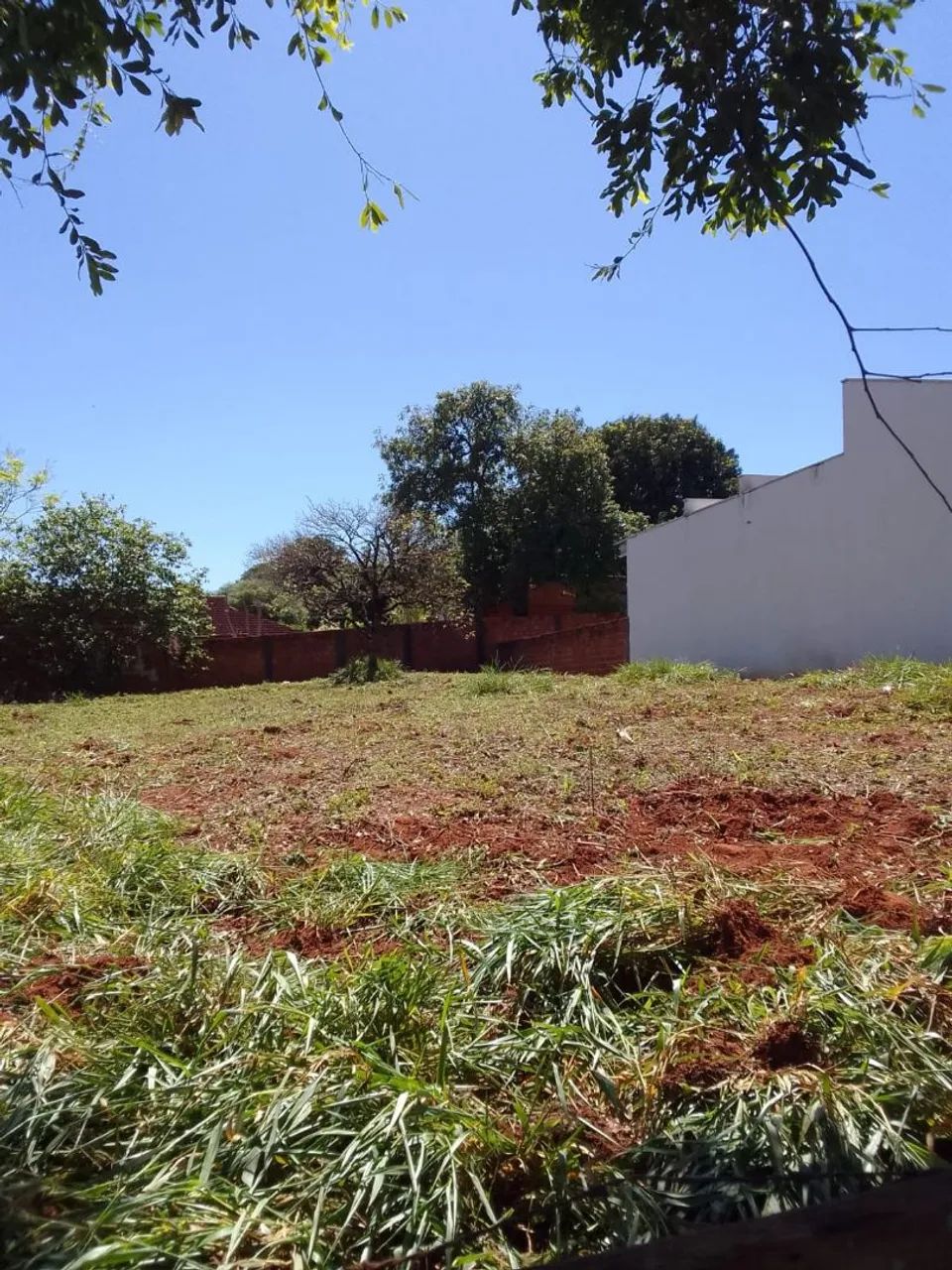Foto - Santo André - Jardim Irene