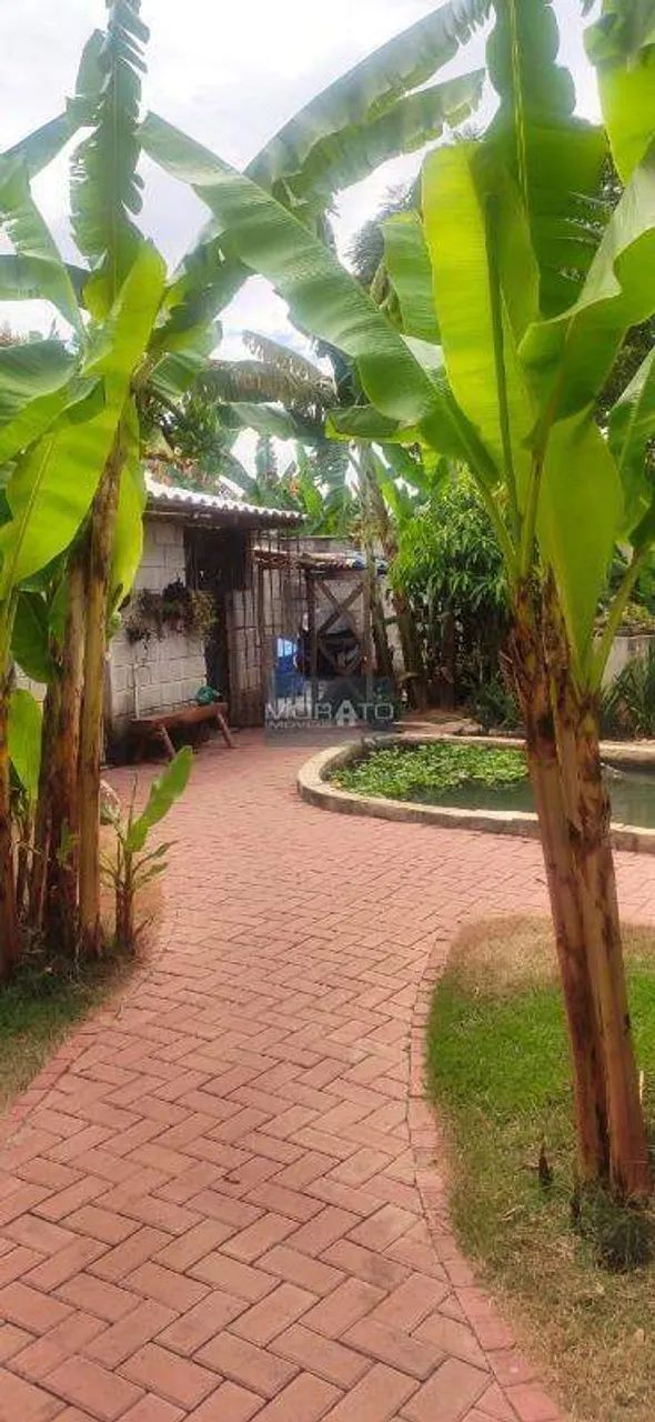 Casa 5 Quartos, 2 Suítes, 10 Vagas de Garagem no Bairro Colonial - Foto 4