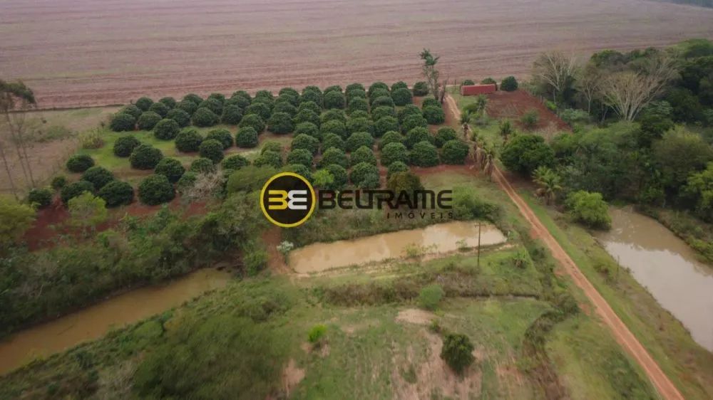 VENDA | Negócio, em Area Rural, São Jorge Do Ivaí