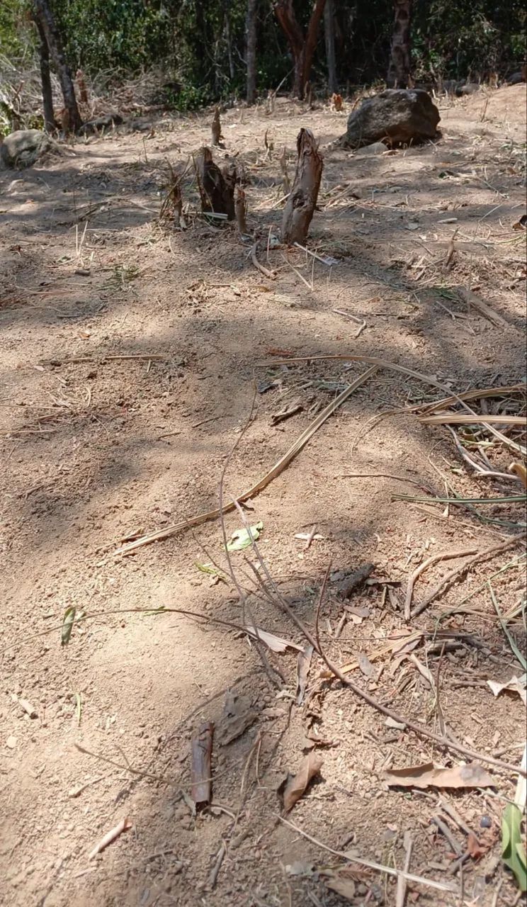 Excelente Terreno em Condomínio Fechado - Foto 5