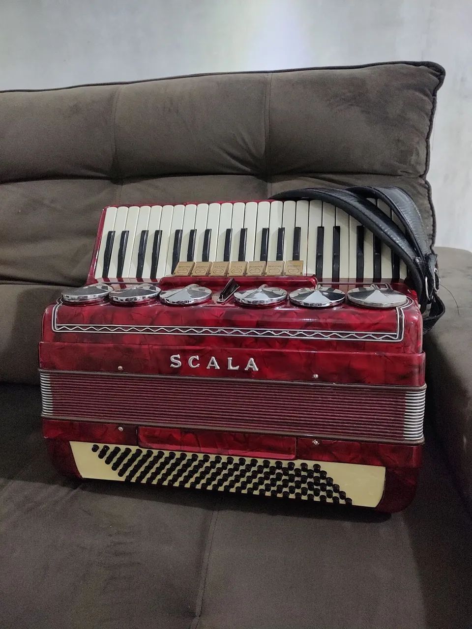 Acordeon 