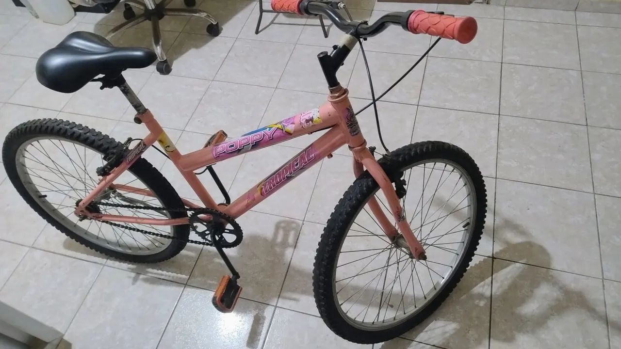 Bicicleta aro 24