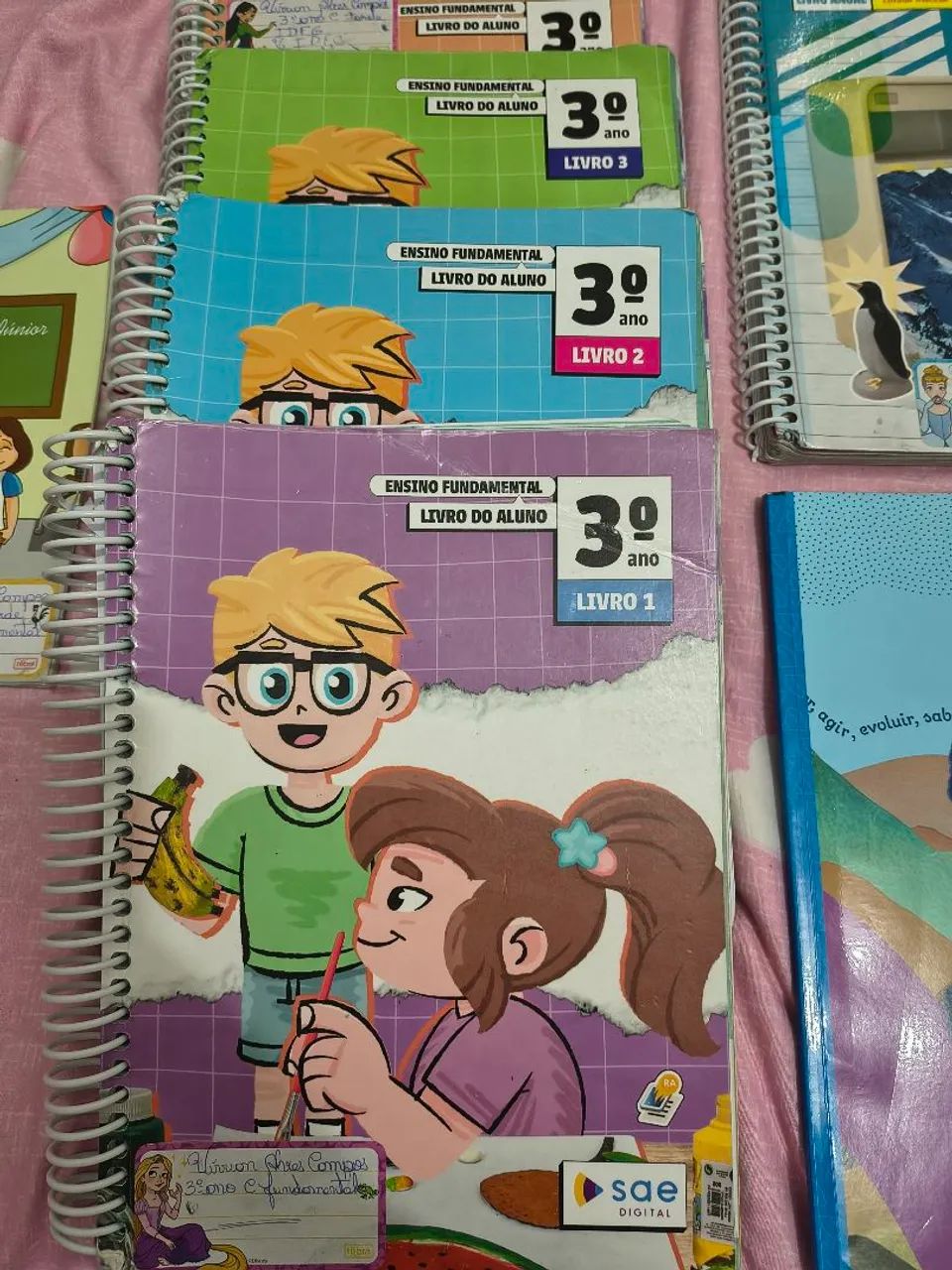 Coleção completa SAE 3 ano fundamental 65569093799554121