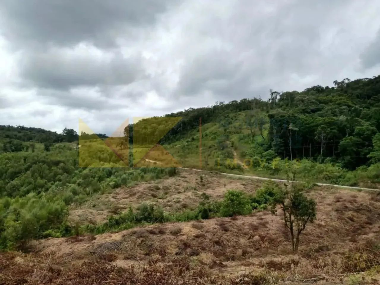 Sitio em Rio dos Cedros a venda