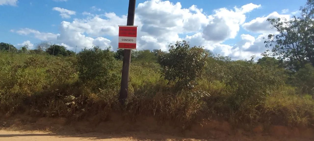 Tereno em irará zap * - Foto 3
