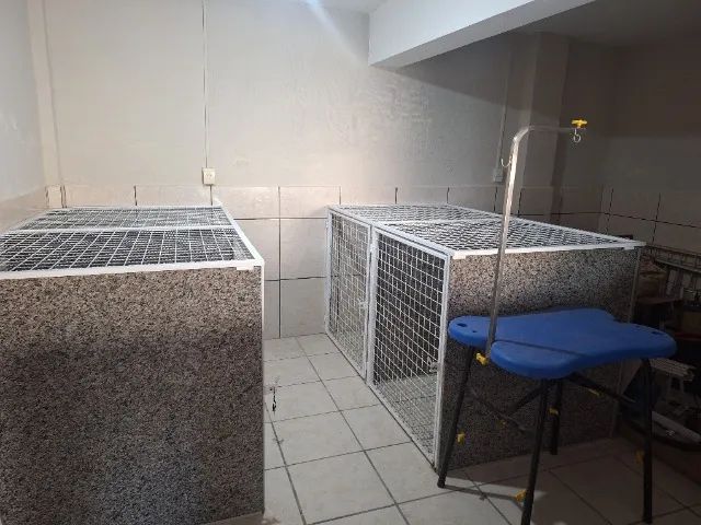 Banho e Tosa completo (pet shop) - Foto 3