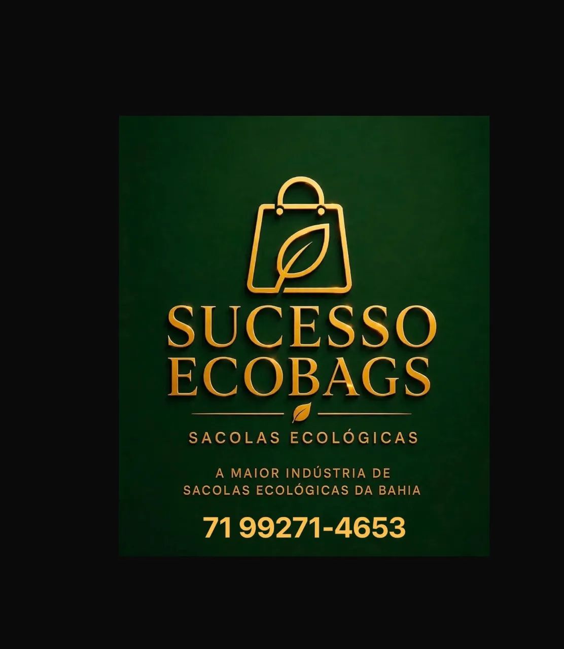 Ecobags - Sucesso em Bolsas Ecológicas - Foto 2