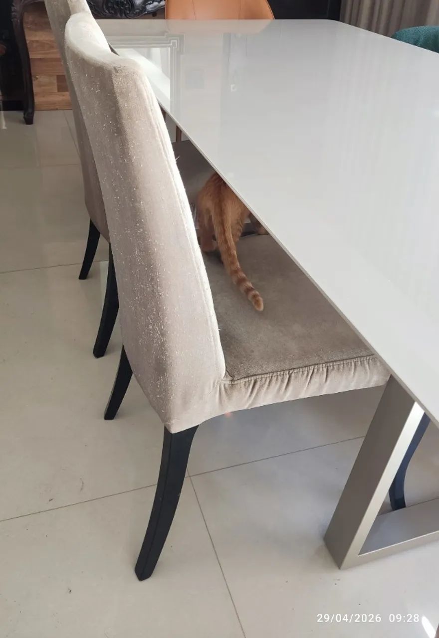 Cadeiras para mesa de jantar - Foto 3