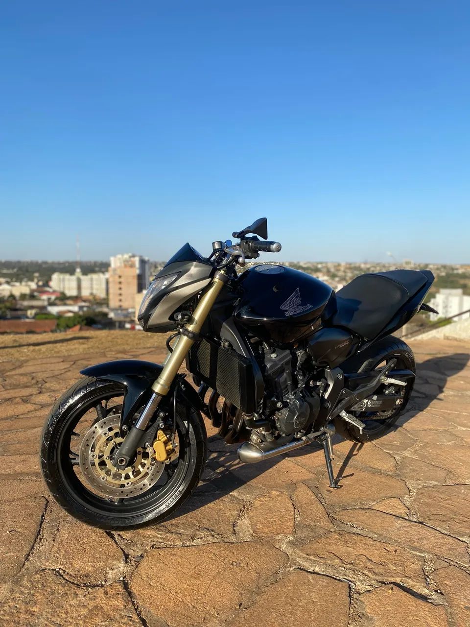 Hornet 600f 