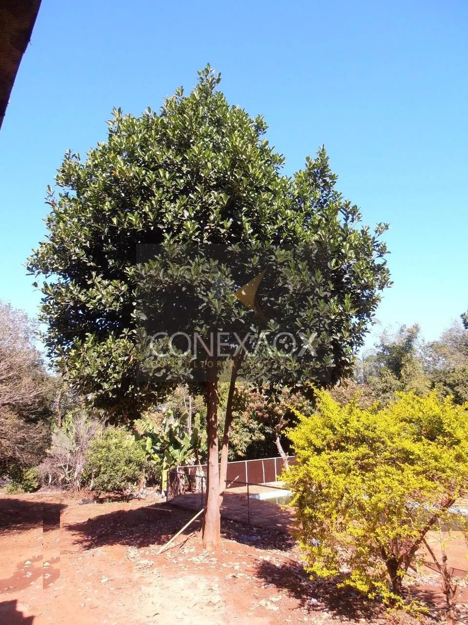 área - Betel - Paulínia - Foto 4
