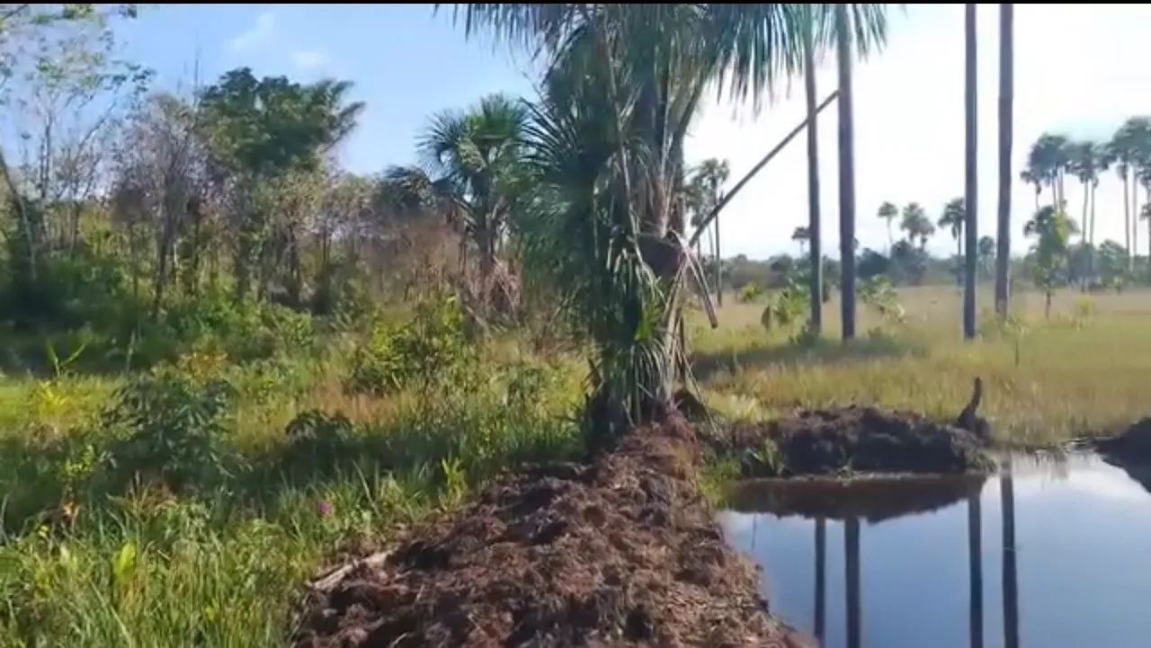 Terreno na beira do brejo - Foto 3