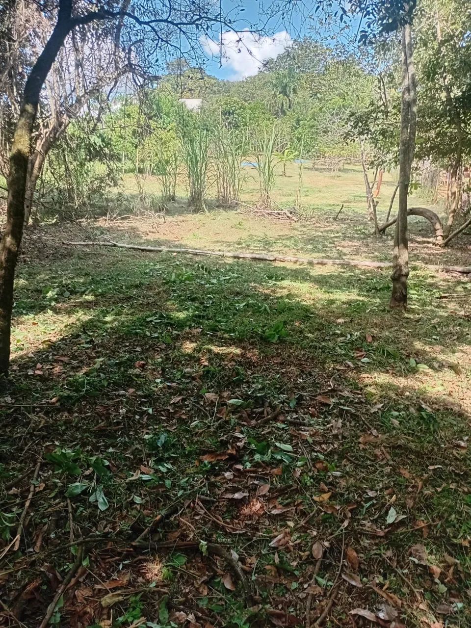 Foto - São José da Varginha - 