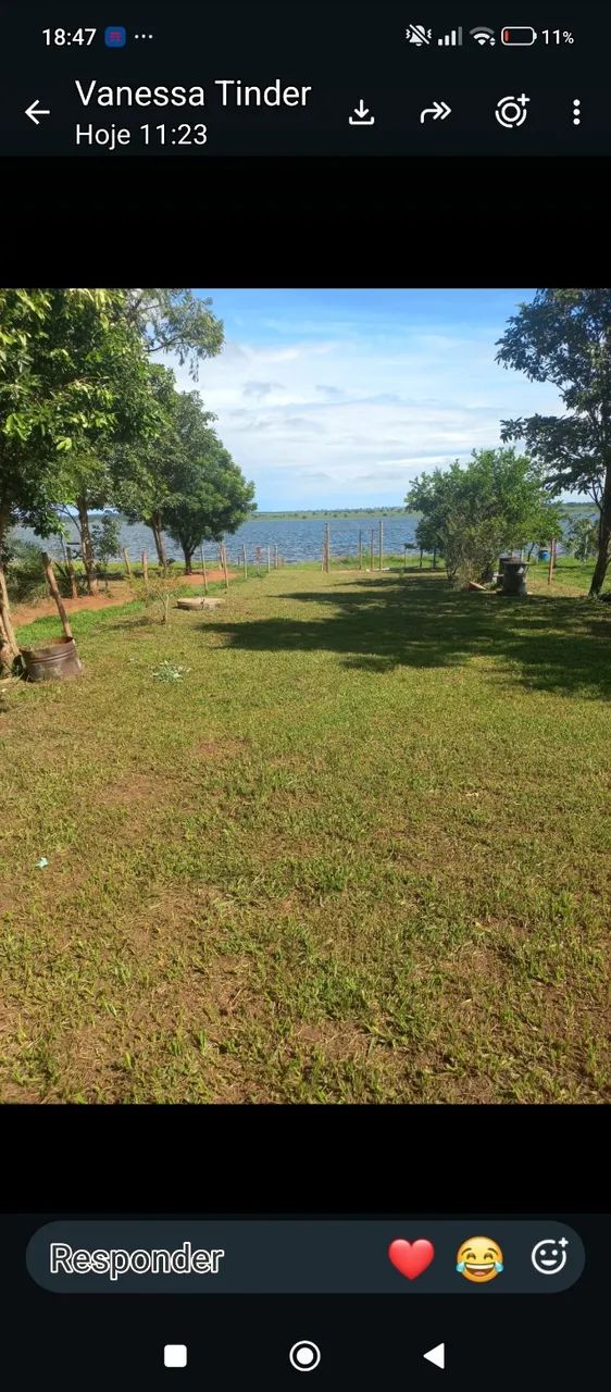 Vendo chacara  - Foto 5