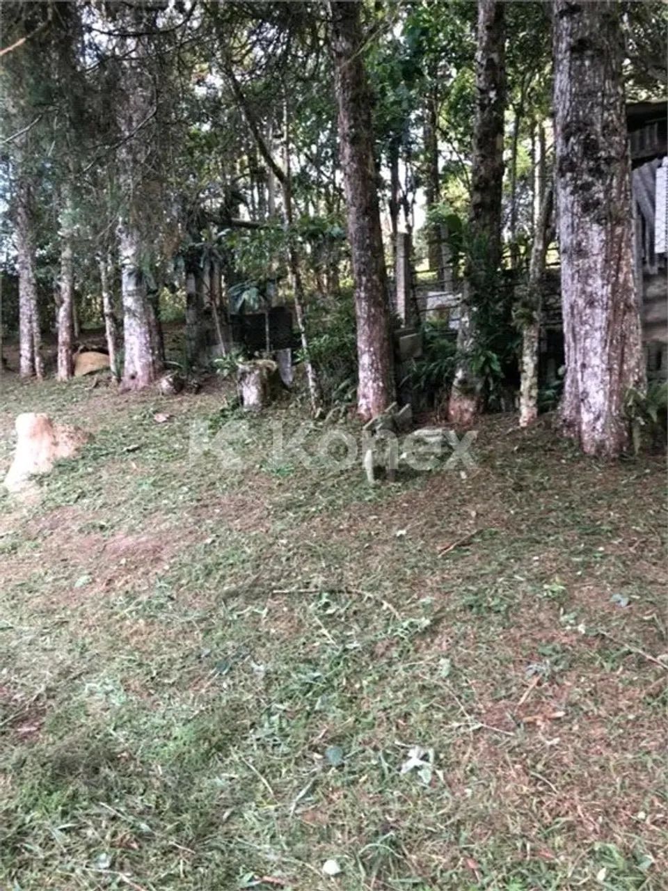 Sítio à venda com 4 quartos em Centro, Mogi das Cruzes - Foto 5