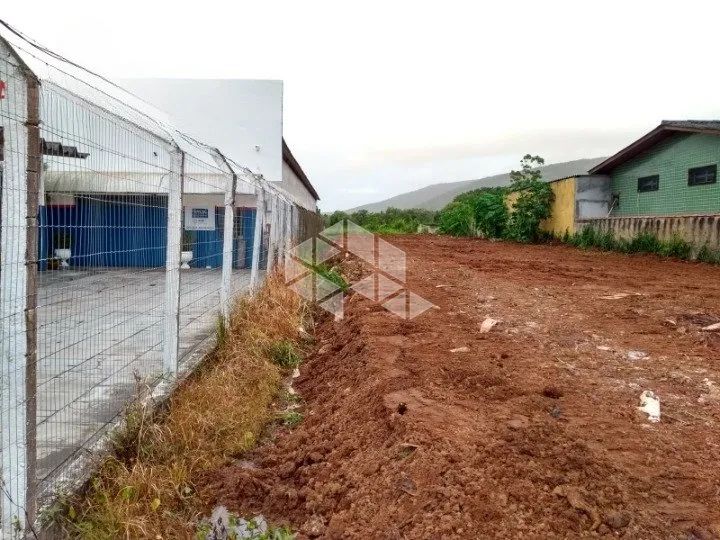 Terreno em Canasvieiras (SC 401) - Florianópolis/SC - Foto 3