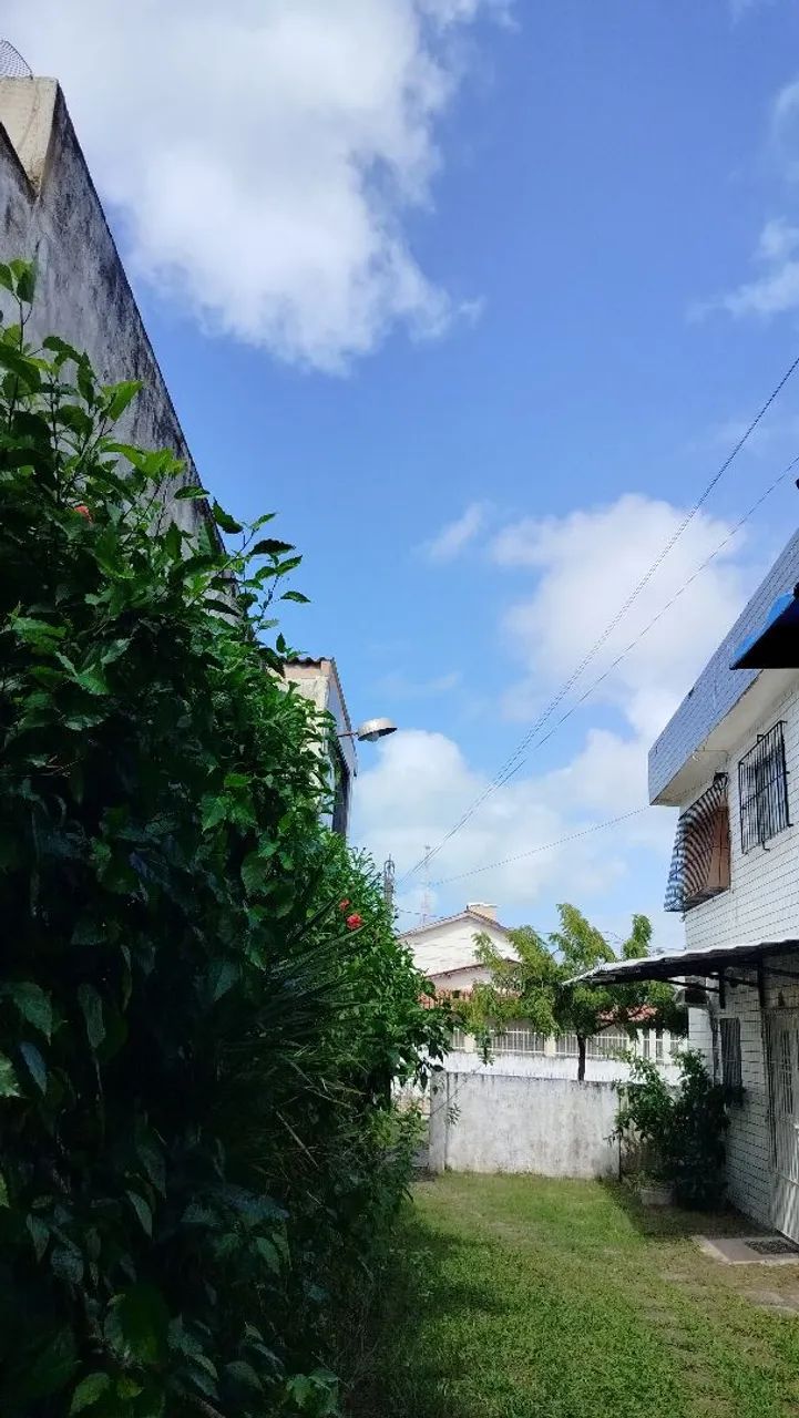 Apartamento,tereo  - Foto 2