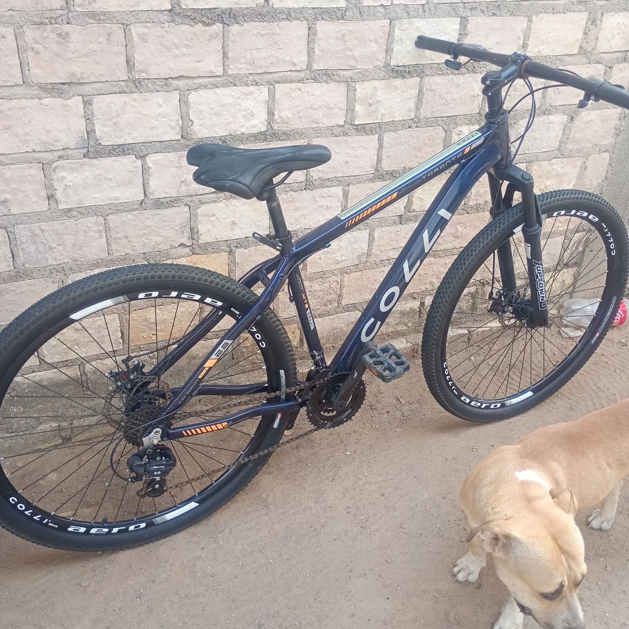 BICICLETA 29 REVISADA E LUBRIFICADA  - Foto 2