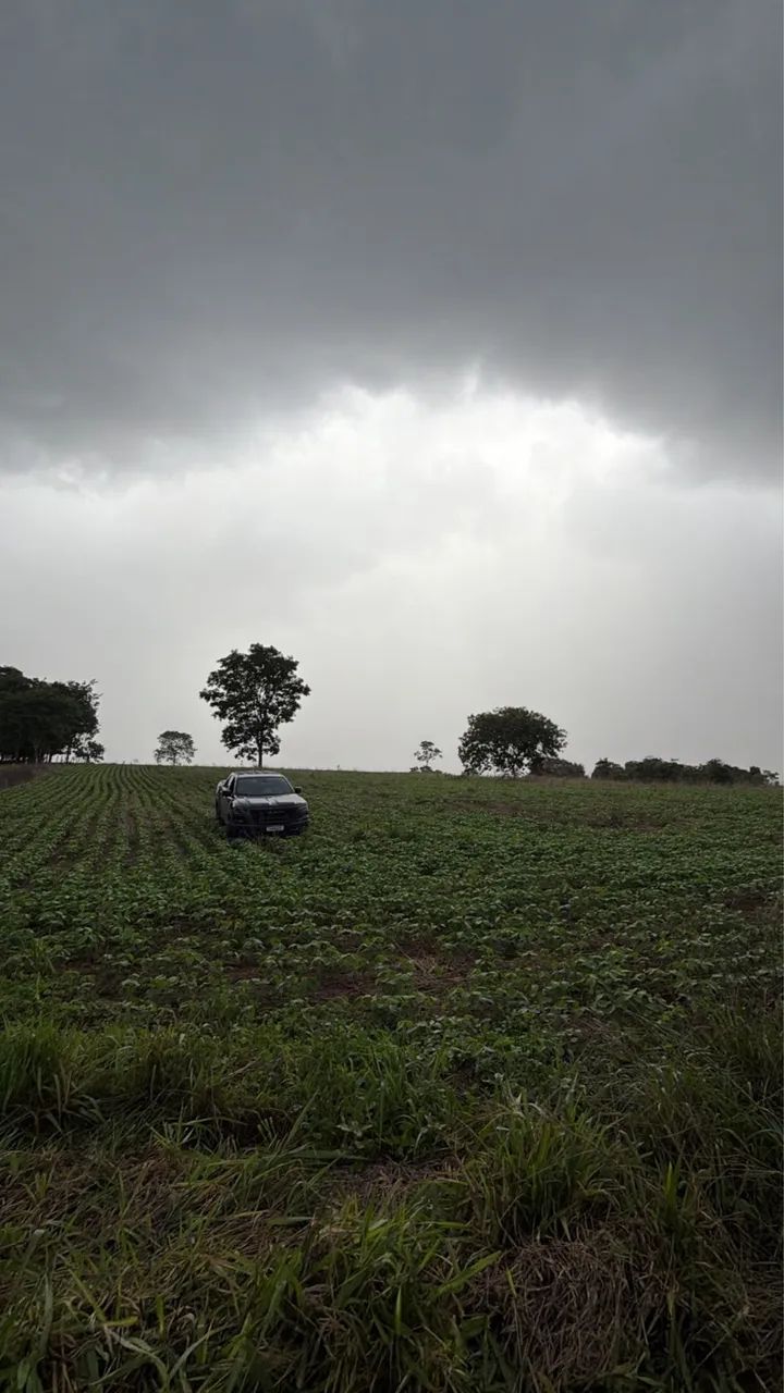 chácara/fazenda Bela Vista Goias
