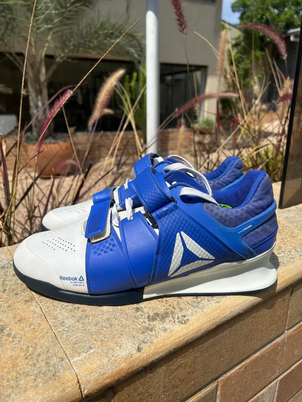 reebok legacy lifter