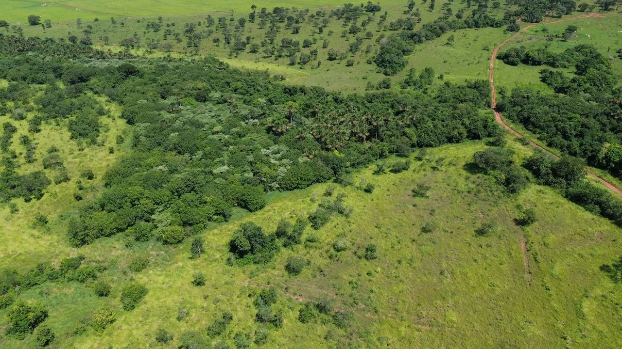 FAZENDA CAMPINA VERDE MG  - Foto 5