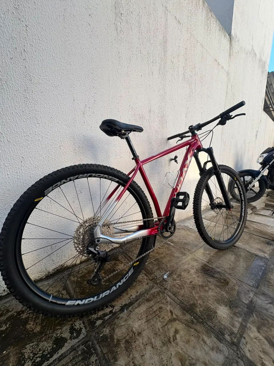 Vendo bike AUDAX 
