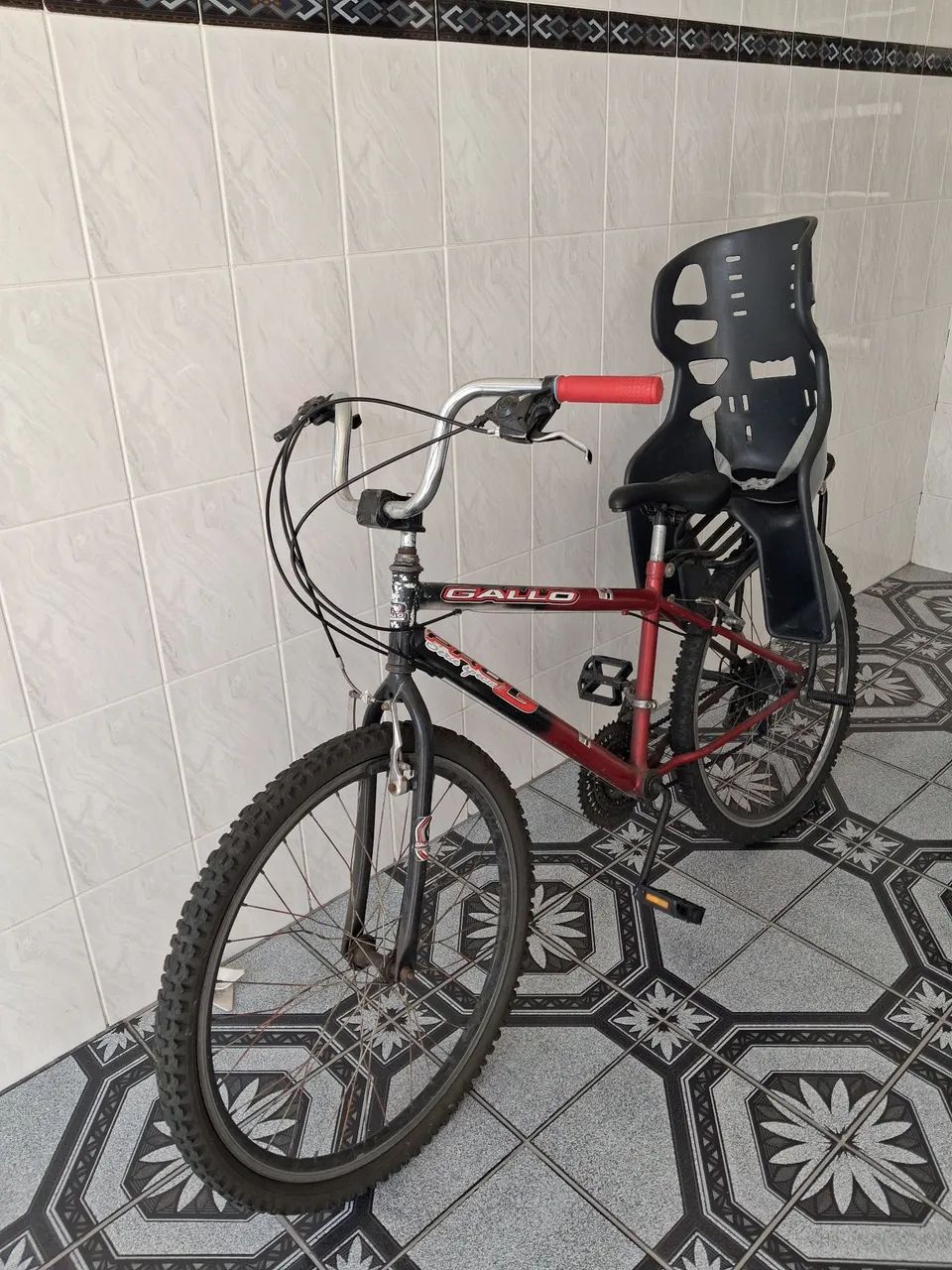Bicicleta Adulta 