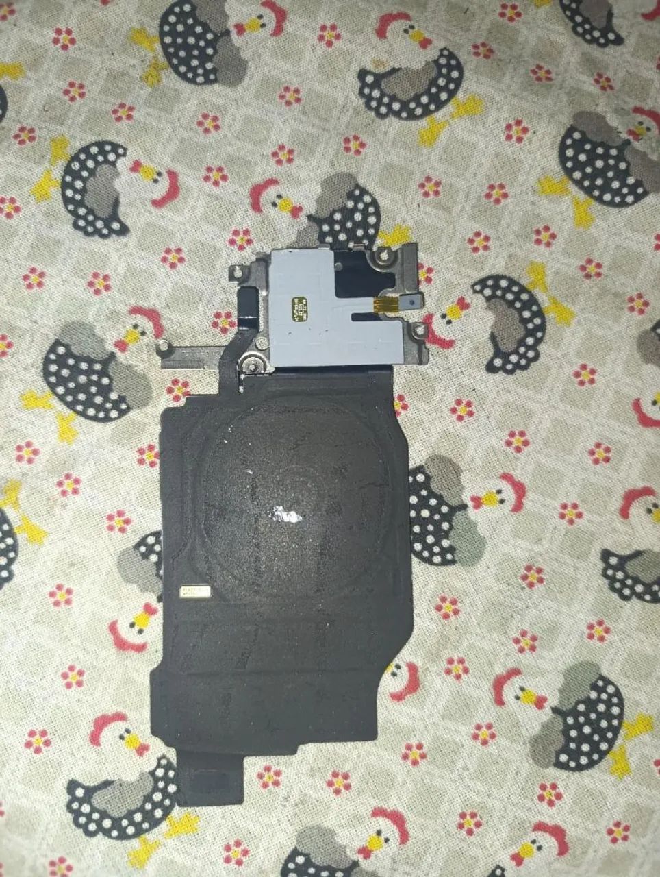 Indução original s21+