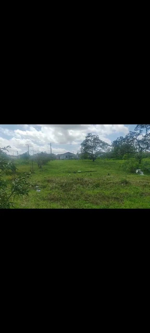 Terreno para chácara  - Foto 5