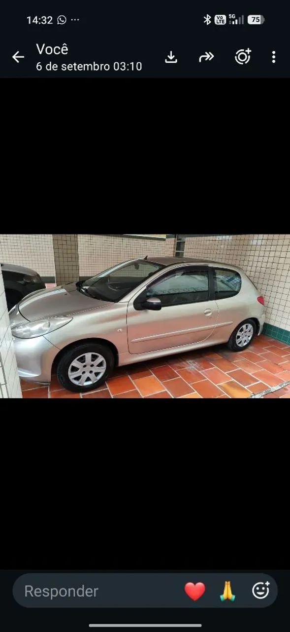 Peugeot 207 XR 1.4 FLEX 8V 3P 2012