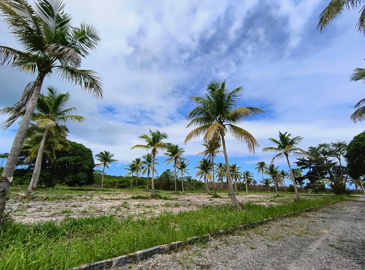 Lote em Porto de Galinhas - Oportunidade!! - Foto 5