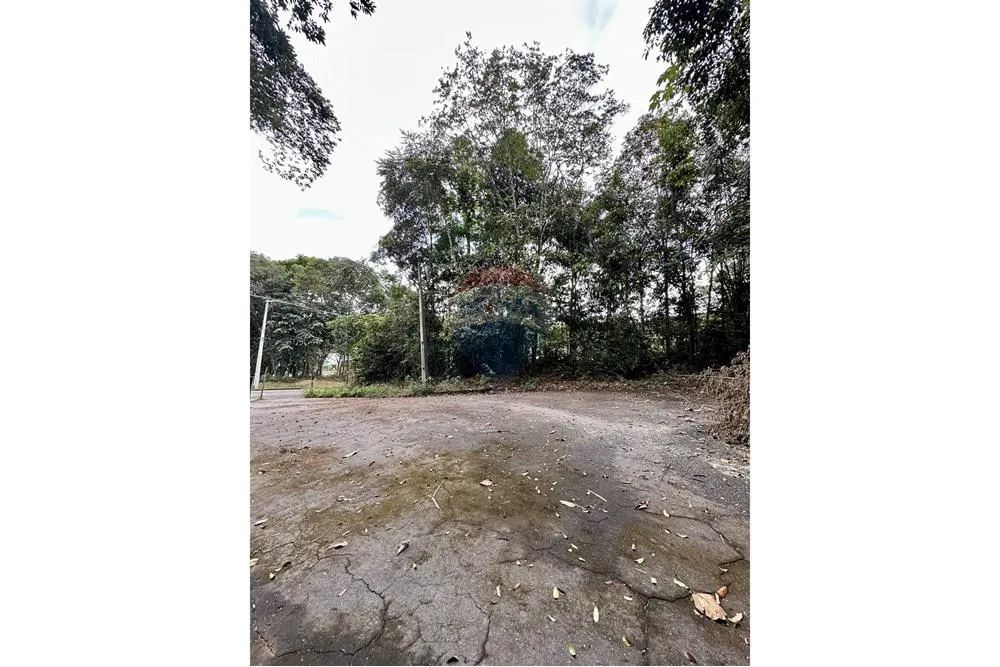 Lote Exclusivo: Preço Imperdível no Bosque Palmas! - Foto 4