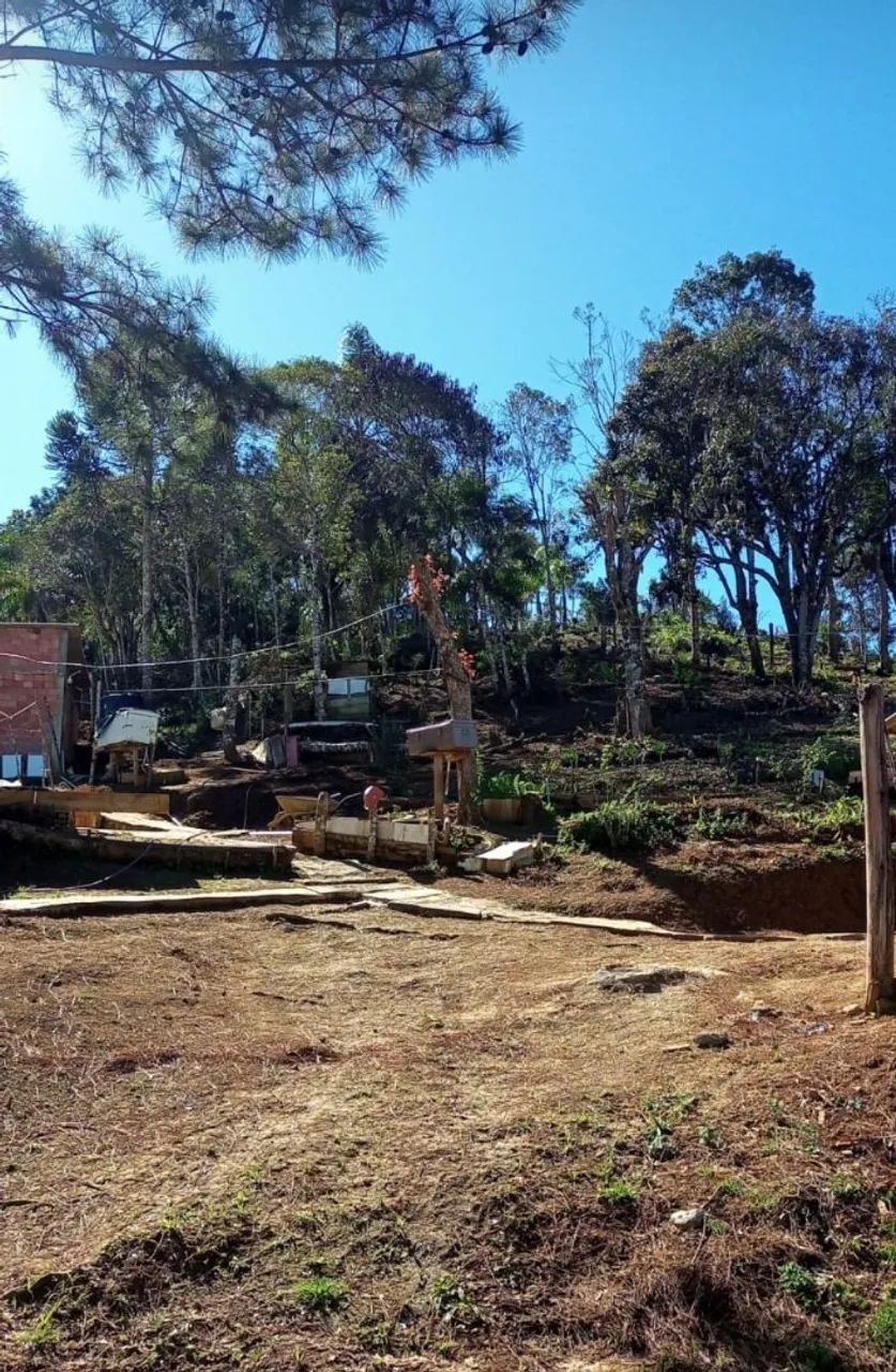 Chácara com 3 casas - Foto 4