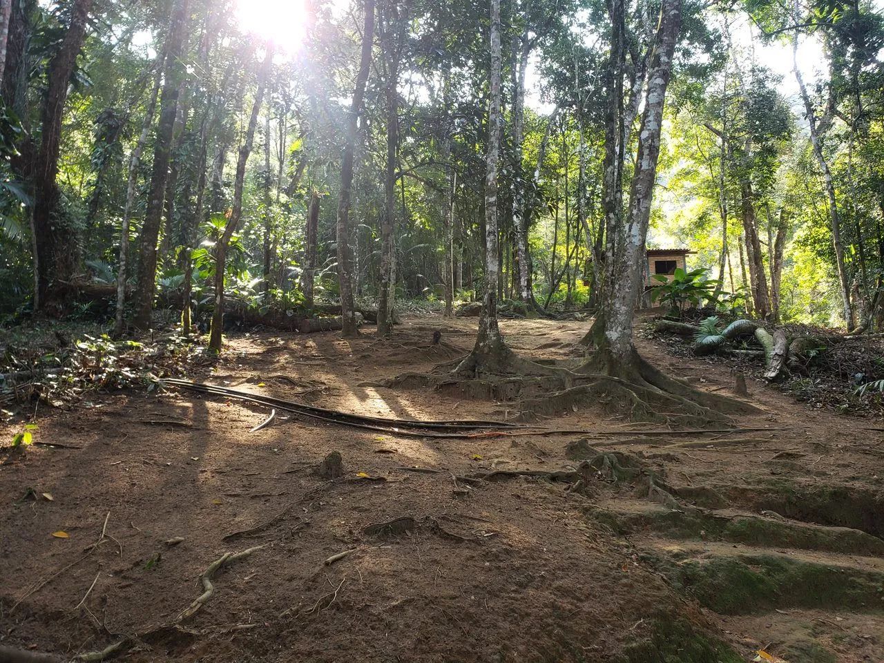 Foto - São Sebastião - Boiçucanga