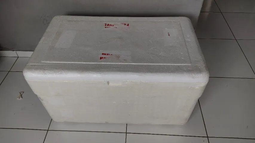 Caixa de isopor - Foto 3