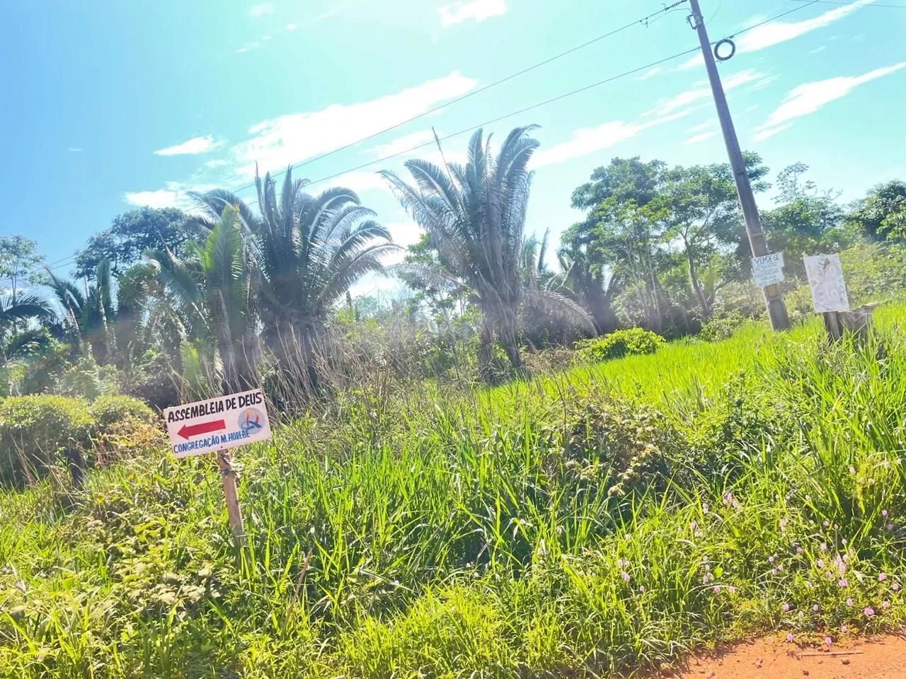 Fica na linha do cajucom castanheira  - Foto 2
