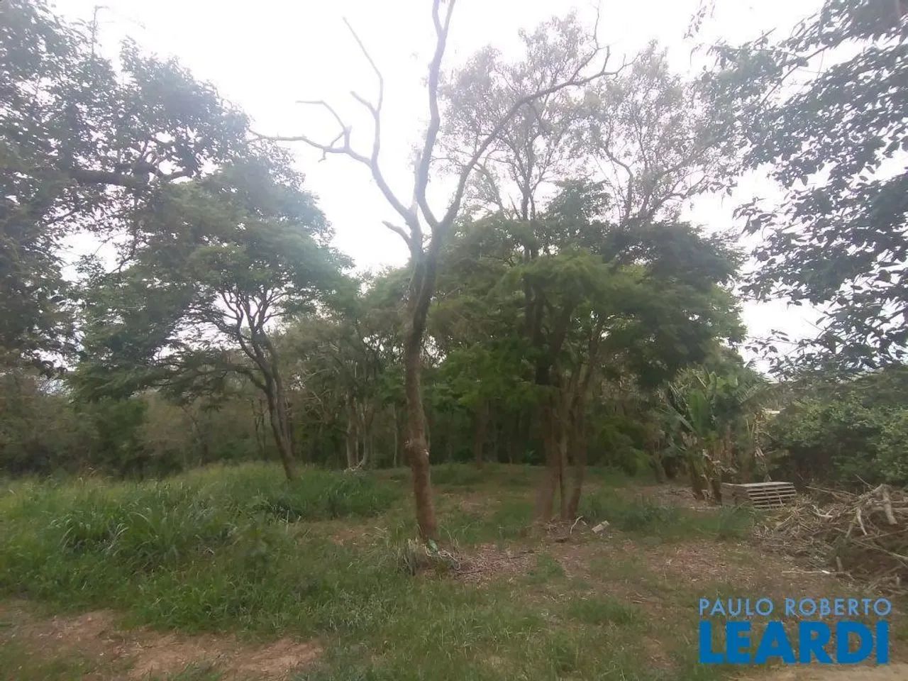 TERRENO - VISTA ALEGRE - SP - Foto 4