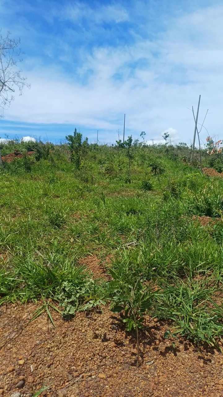 Vende-se chácara próximo a planalmira  - Foto 5