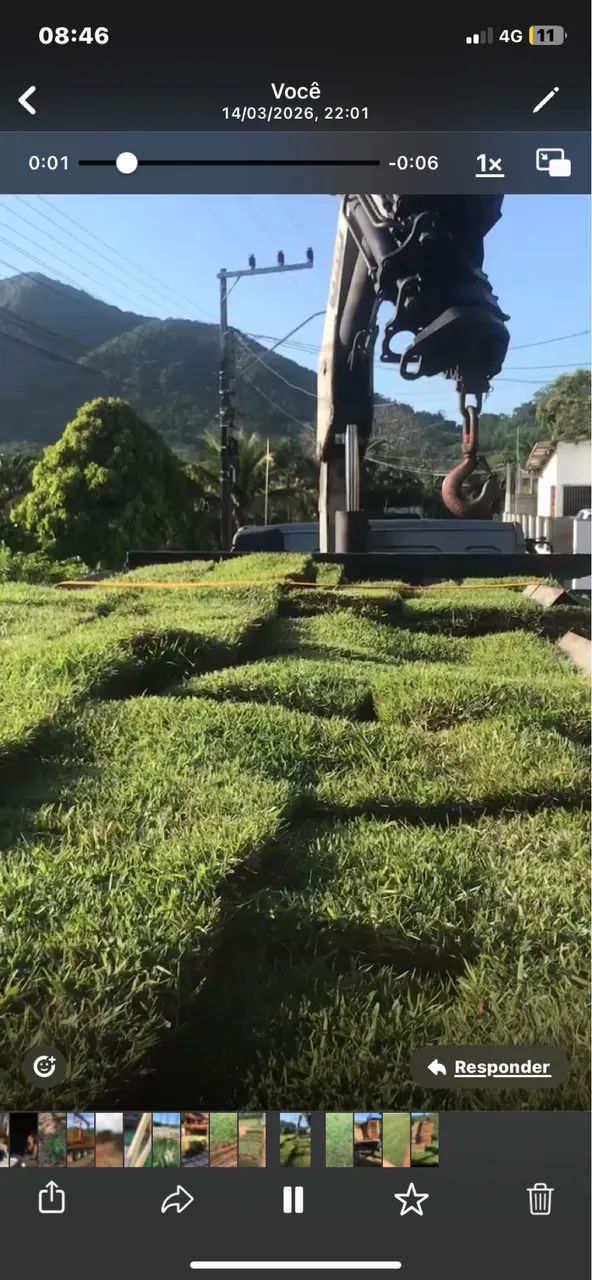 Grama pronta entrega  - Foto 3