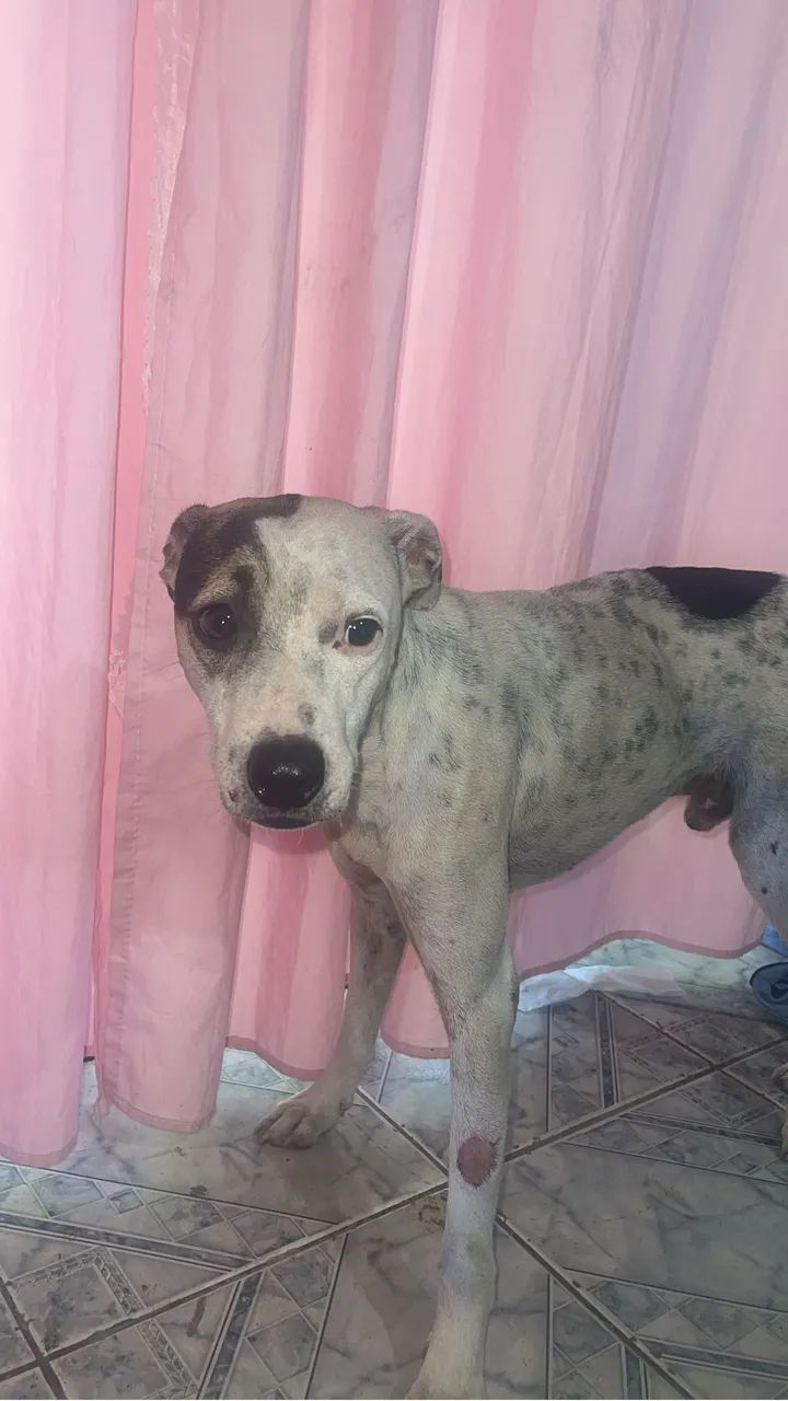 Doação 